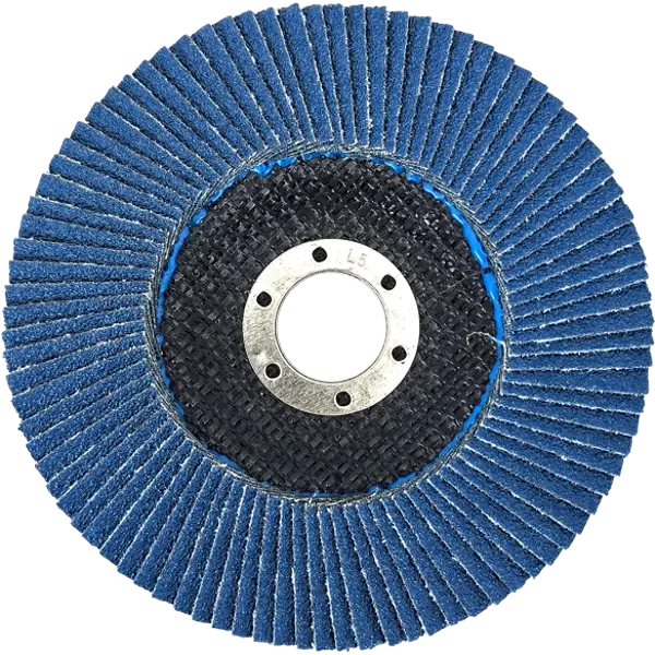 20 Fächerscheiben Zirkonia Inox 125mm Lamellenscheibe Edelstahl K40 K80 HERO